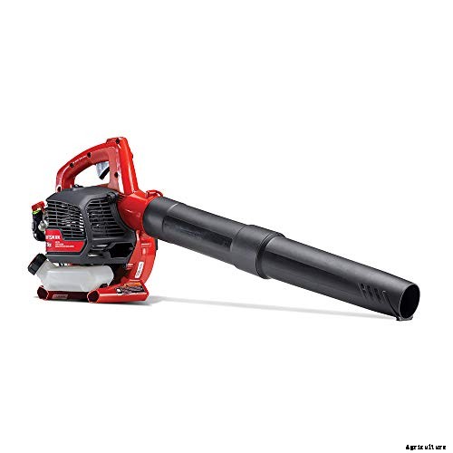 Best Gas Leaf Blower: Which of These 5 Takes the Title 