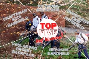 Best Gas Leaf Blower: Which of These 5 Takes the Title 