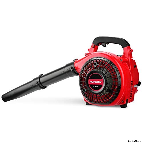 Best Gas Leaf Blower: Which of These 5 Takes the Title 