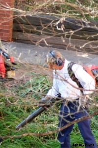 Black+Decker LSW36  40v Lithium-Ion Cordless Sweeper: Does It Work?