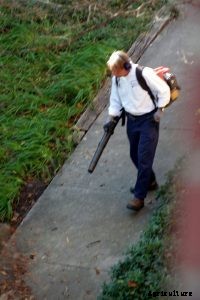 Kobalt 40v Blower Review: The Ultimate Guide You Need