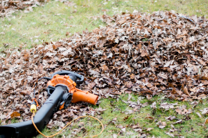 The Ultimate Husqvarna 125b Review: Gas-Powered Leaf Blower