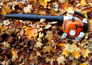 The Echo PB-265LN: Everything You Need to Know About This Backpack Blower