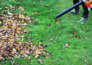 Echo PB-2520 Review: How Well Does this Handheld Blower Work?