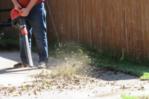 The Echo PB-265LN: Everything You Need to Know About This Backpack Blower