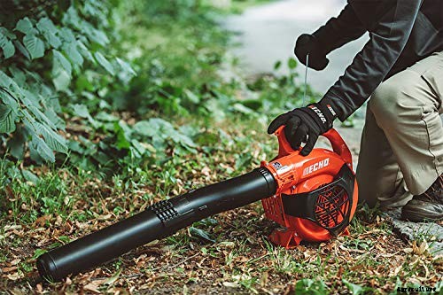 Echo PB-2520 Review: How Well Does this Handheld Blower Work?
