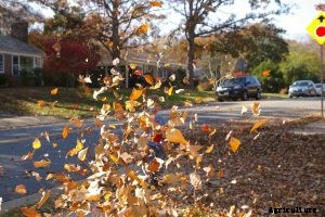 Husqvarna 130bt Backpack Leaf Blower: Comfort to the Next Level?