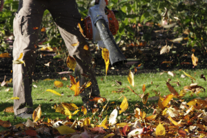 Echo PB-2520 Review: How Well Does this Handheld Blower Work?