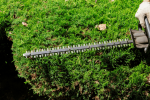 Greenworks 22272 Cordless Hedge Trimmer Review