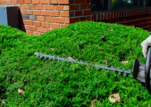 Greenworks 22272 Cordless Hedge Trimmer Review