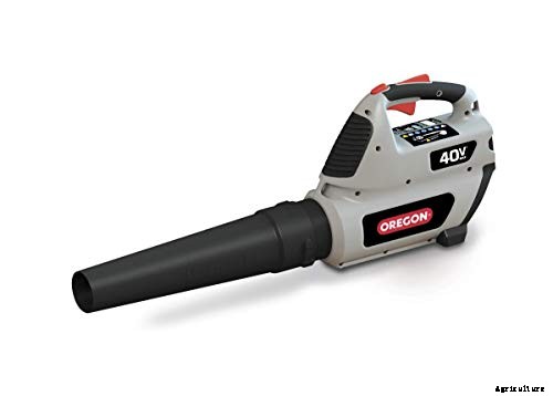 Oregon bl300: Advantages and Drawbacks of this Battery Leaf Blower