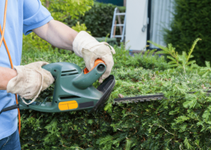 5 Best Hedge Trimmer for Thick Branches in 2021