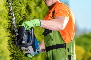 5 Best Hedge Trimmer for Thick Branches in 2021