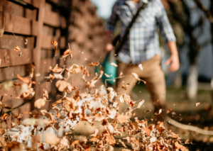 An In-Depth Greenworks 24252 Review: All the Details You Need