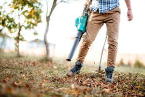 An In-Depth Greenworks 24252 Review: All the Details You Need