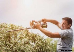 Poulan Pro PP2822 Review