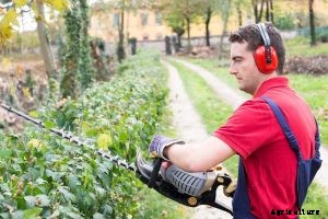 Poulan Pro PP2822 Review