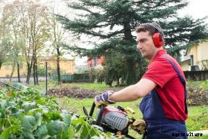 Echo HC 152 Hedge Trimmer Review