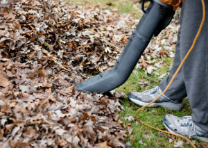 Echo pb250ln Review: Best for Residential, Commercial, or Both?