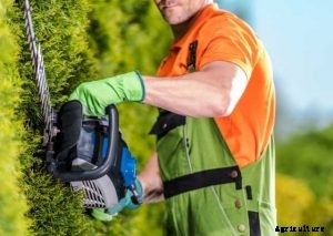 The 5 Best Commercial Hedge Trimmer in 2021