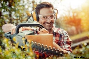 The 5 Best Commercial Hedge Trimmer in 2021