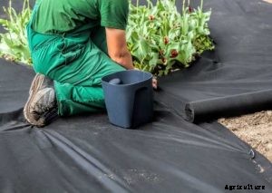 The 9 Best Weed Barrier in 2021