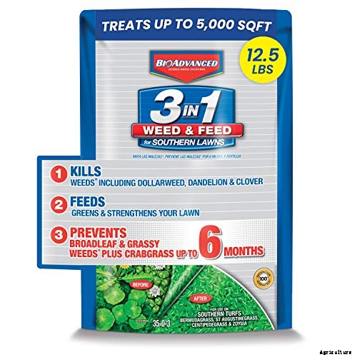 The 9 Best Weed and Feed in 2021