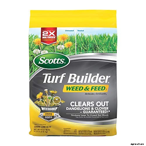 The 9 Best Weed and Feed in 2021