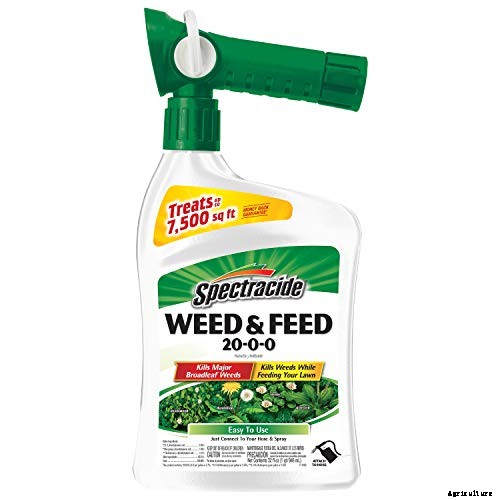 The 9 Best Weed and Feed in 2021