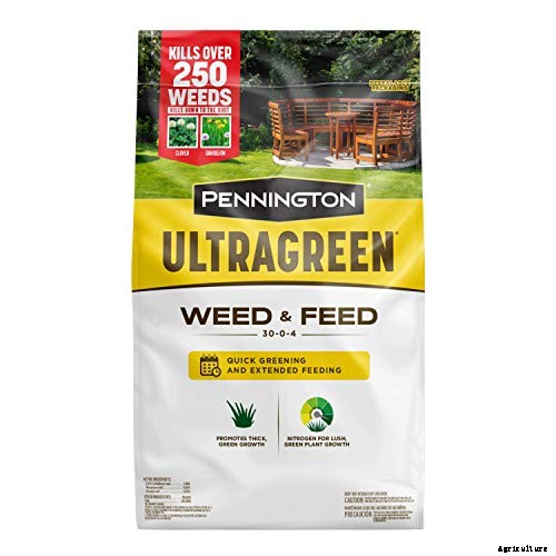 The 9 Best Weed and Feed in 2021