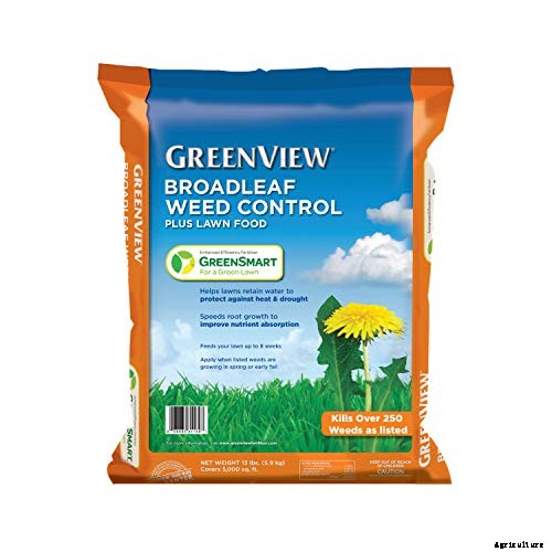 The 9 Best Weed and Feed in 2021