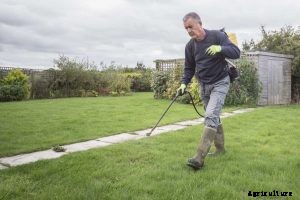 The 9 Best Weed and Feed in 2021