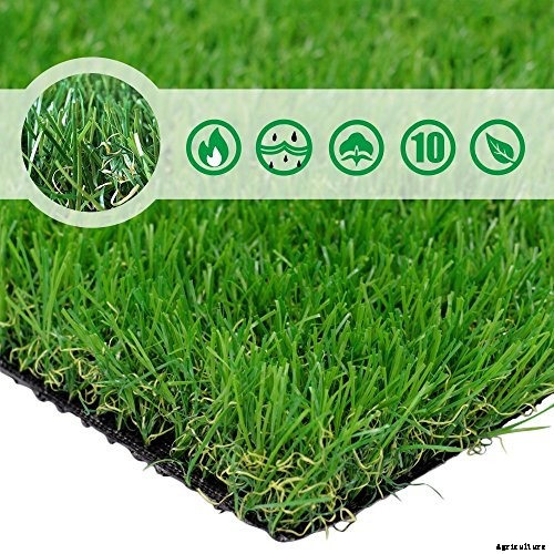 The 9 Best Artificial Grass in 2021