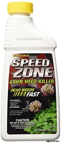 The 8 Best Weed Killer for Lawns in 2021