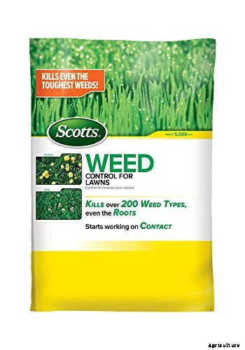 The 8 Best Weed Killer for Lawns in 2021