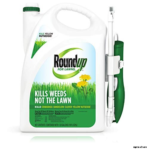 The 8 Best Weed Killer for Lawns in 2021