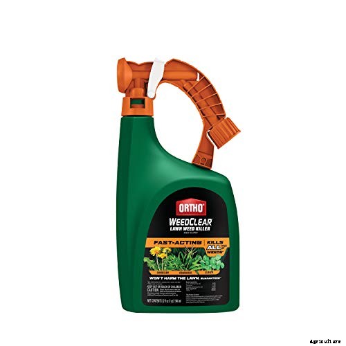 The 8 Best Weed Killer for Lawns in 2021
