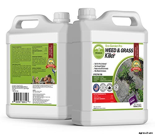 The 8 Best Weed Killer for Lawns in 2021