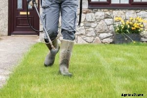 The 8 Best Weed Killer for Lawns in 2021