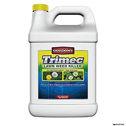 The 8 Best Weed Killer for Lawns in 2021