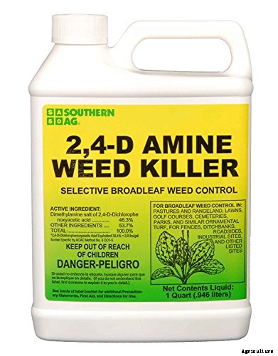 The 8 Best Weed Killer for Lawns in 2021