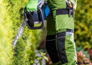 The 8 Best Gas Hedge Trimmer Of 2021