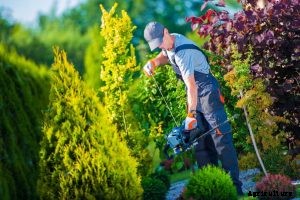 The 8 Best Gas Hedge Trimmer Of 2021