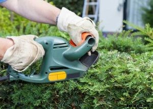 The 6 Best Corded Hedge Trimmer in 2021