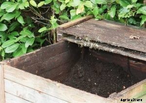 The 5 Best Worm Composter in 2021