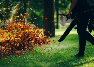 Worx wg506 Leaf Blower (Spec & Review): How Reliable Is It?