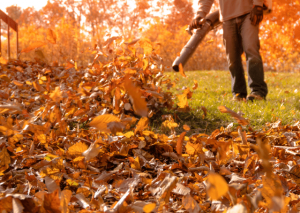 The Ultimate Dewalt dcbl720p1 Review: All the Pros and Cons