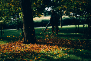 The Ultimate Dewalt dcbl720p1 Review: All the Pros and Cons