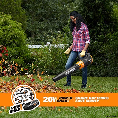 Worx wg546 Cordless Leaf Blower: All Your Questions Answered