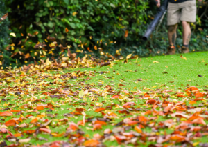 Worx wg546 Cordless Leaf Blower: All Your Questions Answered